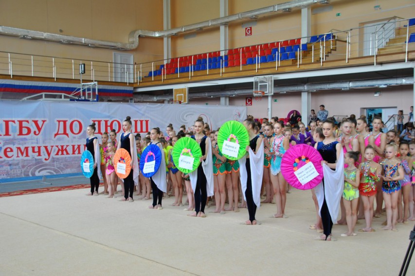Открытое первенство края по художественной гимнастике «Грация»