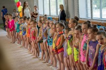 Соревнования для юных гимнасток прошли в Новосибирской области.