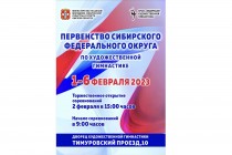 Первенство СФО по художественной гимнастике в Омске